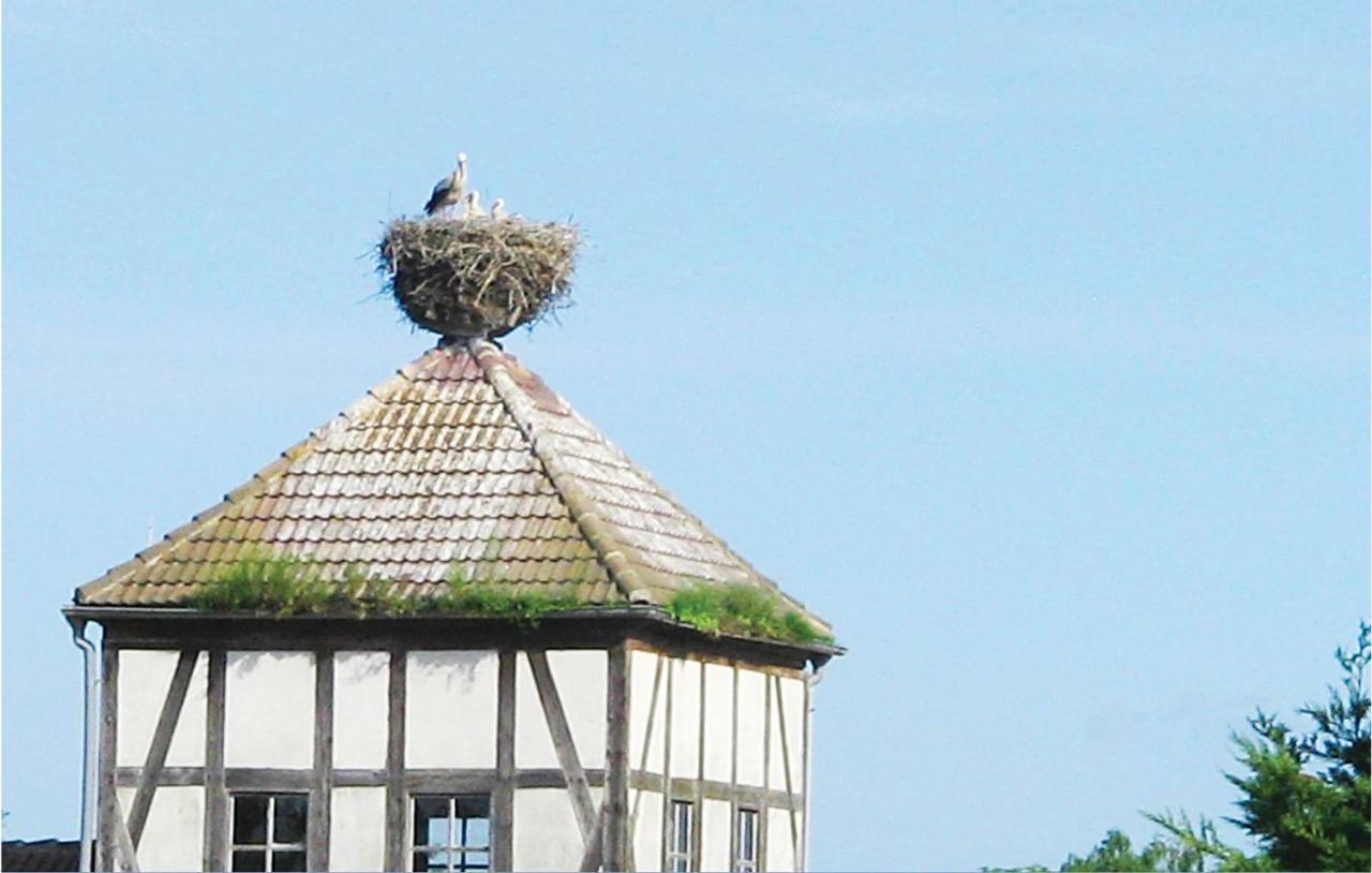 Herrenhaus Luebbenow Zewnętrze zdjęcie